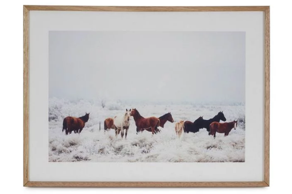 國富縱橫 國富縱橫